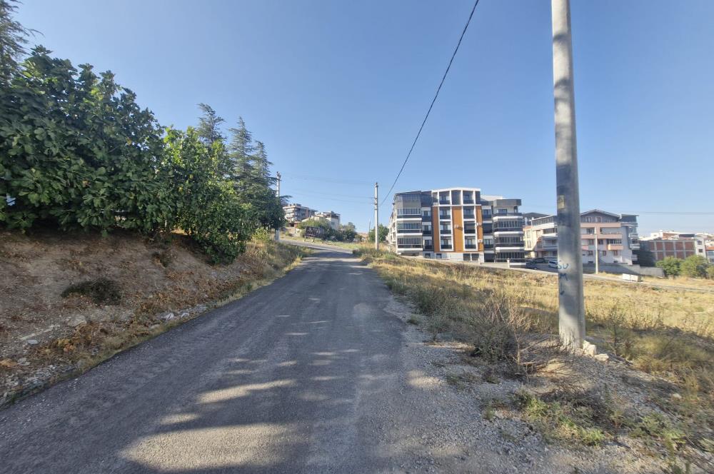 C21 BAL'dan 2.SAKARYA TİCARİ + KONUT İMARLI SATILIK ARSA