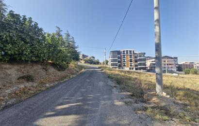 C21 BAL'dan 2.SAKARYA TİCARİ + KONUT İMARLI SATILIK ARSA