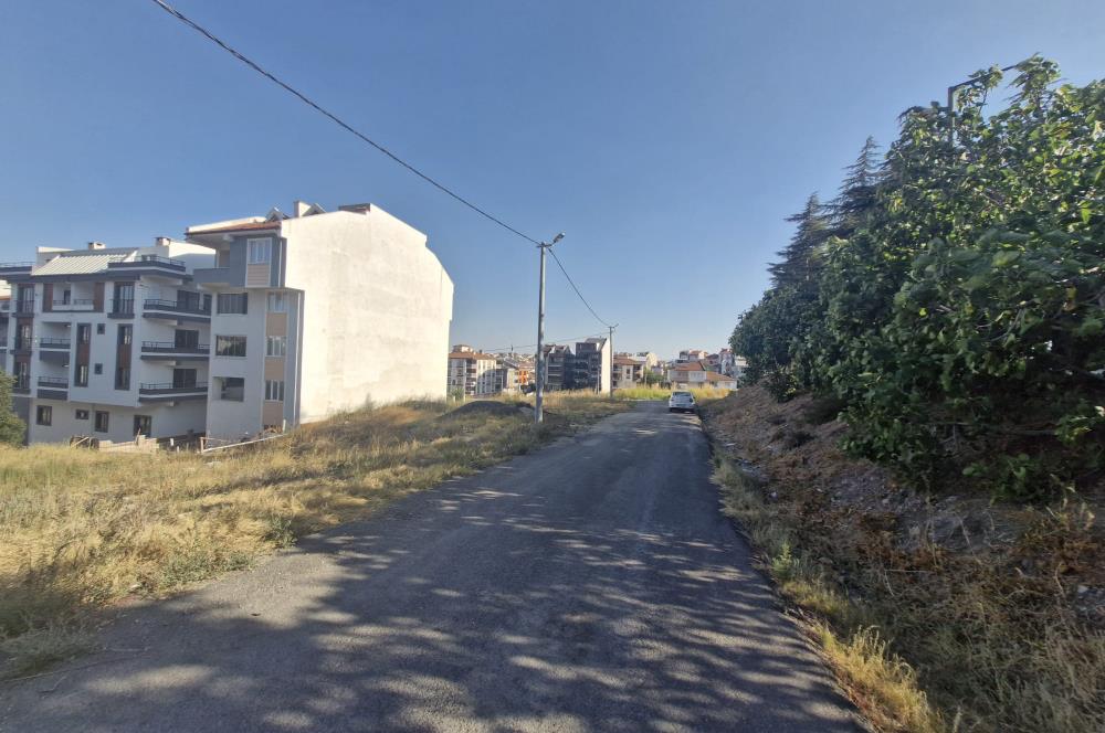 C21 BAL'dan 2.SAKARYA TİCARİ + KONUT İMARLI SATILIK ARSA