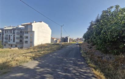 C21 BAL'dan 2.SAKARYA TİCARİ + KONUT İMARLI SATILIK ARSA