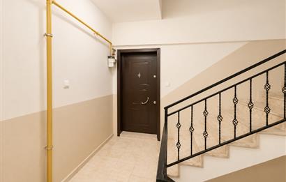 C21 Bal'dan Paşaalanı Mah.'de Arakat Kiralık 3+1 Daire