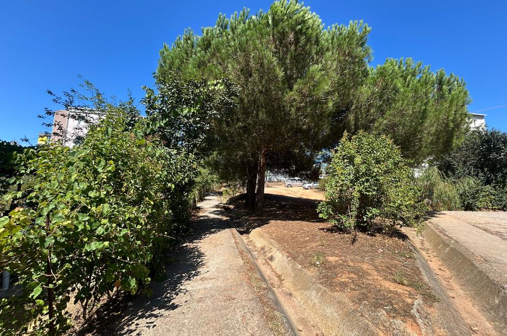 YENİŞEHİR MAHALLESİ REYHAN CADDESİ ARAKAT 2+1 KİRALIK DAİRE