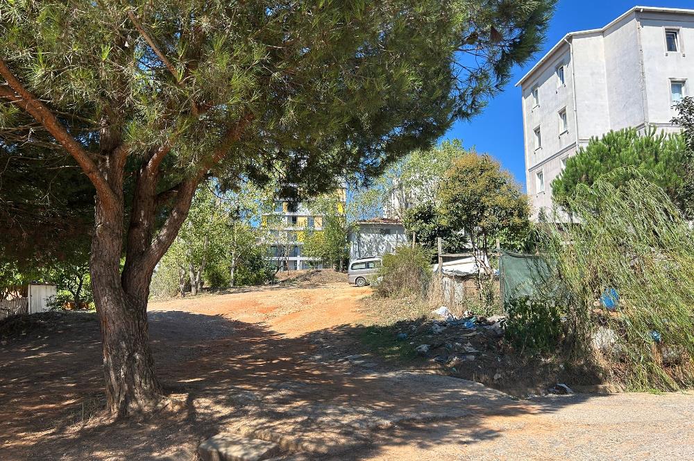 YENİŞEHİR MAHALLESİ REYHAN CADDESİ ARAKAT 2+1 KİRALIK DAİRE