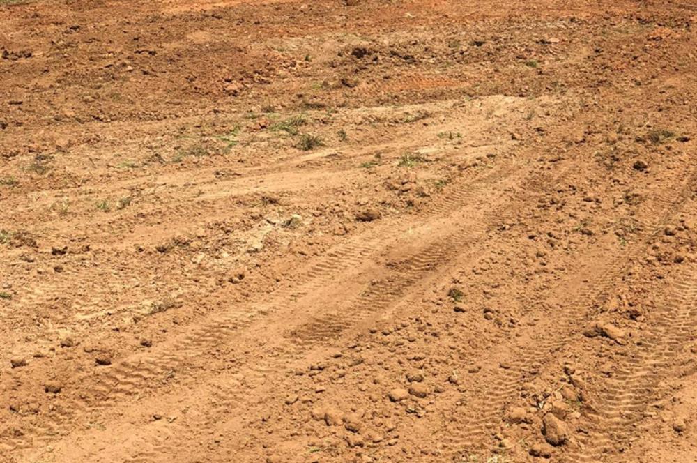 10.5 DÖNÜM HAZIR ÇİFTLİK ALANI
