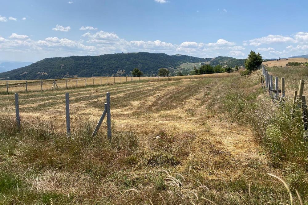 SAKARYA GEYVE’DE MÜSTAKİL TAPULU SATILIK TARLA 