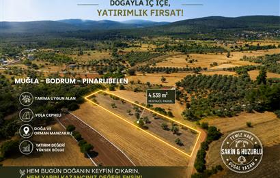 Muğla Bodrum Pınarlıbelen'de Satılık 4.539 m² Müstakil Arazi