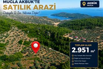 Muğla Akbük'te Satılık 2.951 m² Yatırımlık Arazi - 1 - 36954