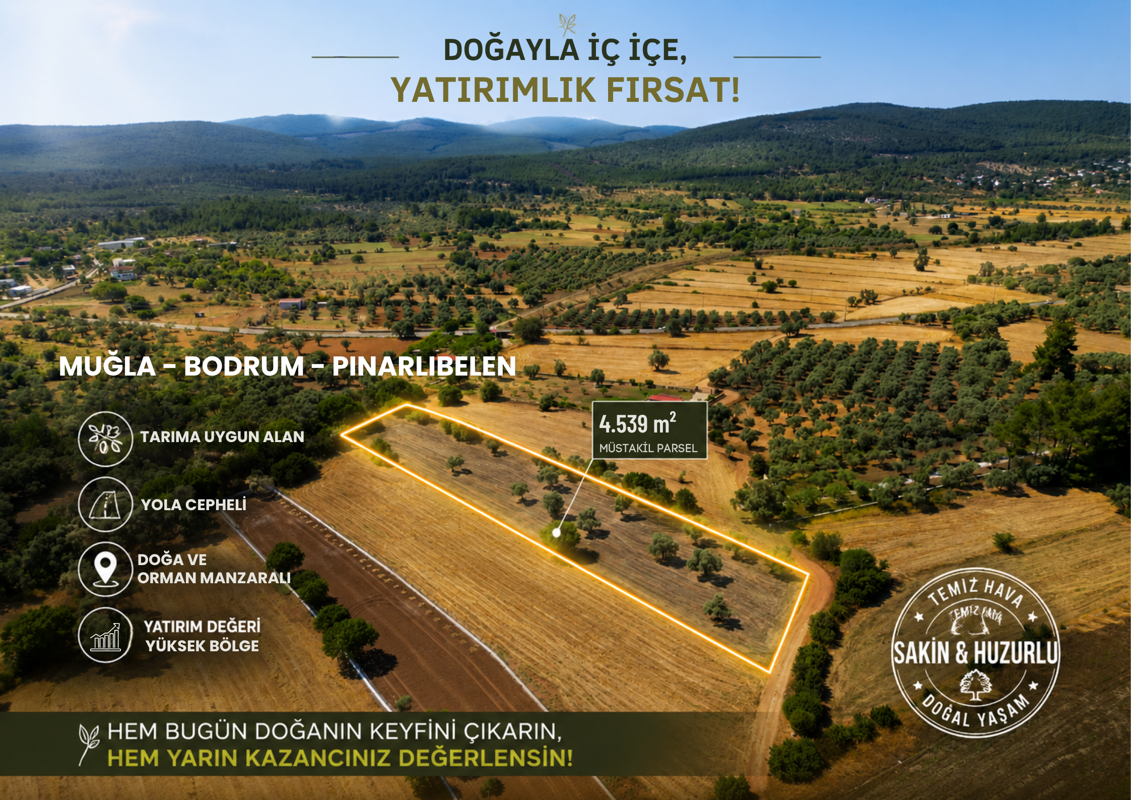 Muğla Bodrum Pınarlıbelen'de Satılık 4.539 m² Müstakil Arazi