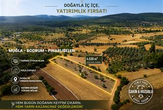 Muğla Bodrum Pınarlıbelen'de Satılık 4.539 m² Müstakil Arazi - 2 - 36958