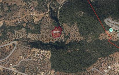 Muğla Akbük'te Satılık 2.951 m² Yatırımlık Arazi