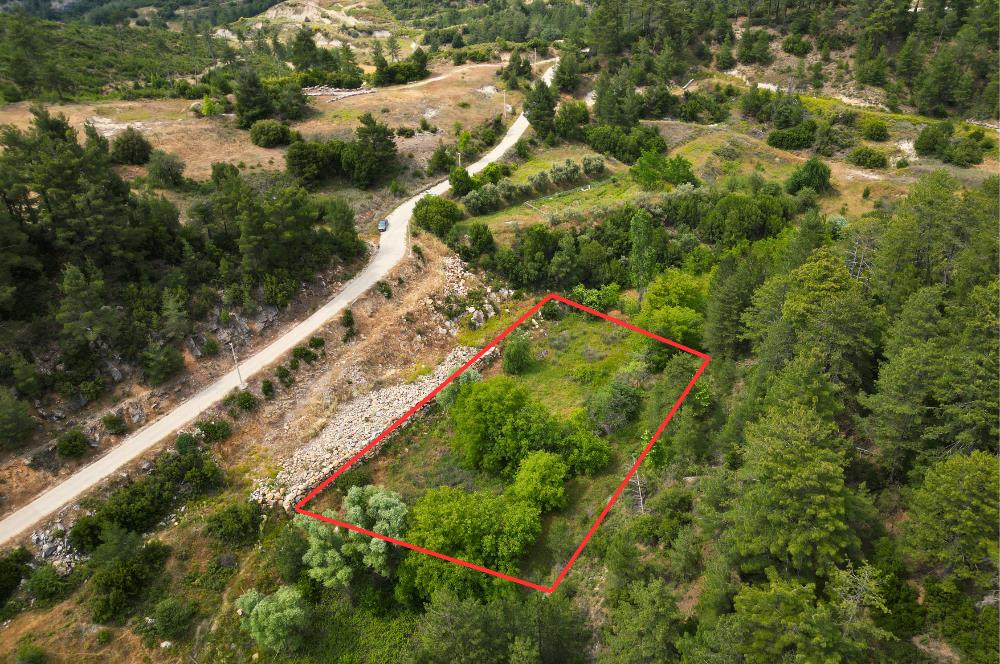 Muğla Kavaklıdere'de Satılık 3.214 m² Arazi