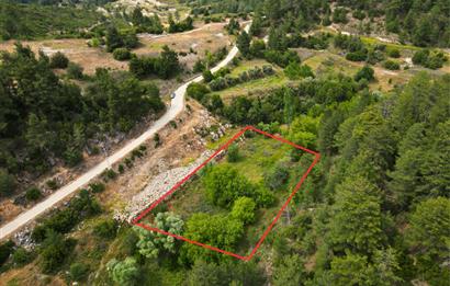 Muğla Kavaklıdere'de Satılık 3.214 m² Arazi
