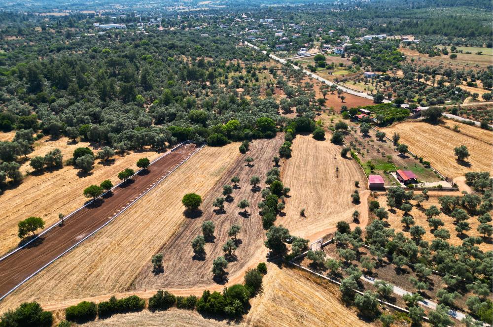 Muğla Bodrum Pınarlıbelen'de Satılık 4.539 m² Müstakil Arazi