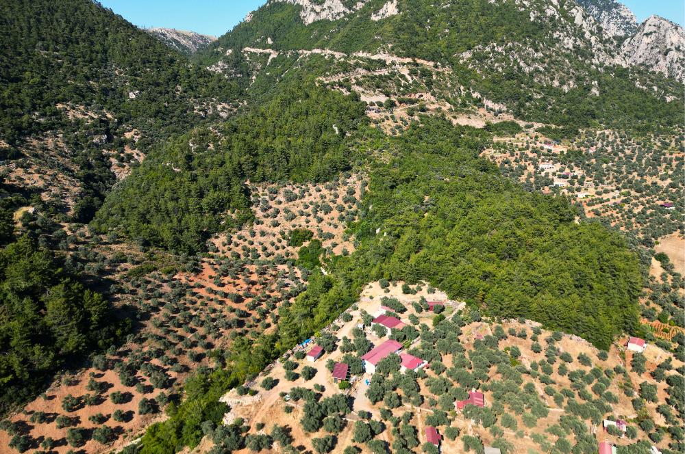Muğla Akbük'te Satılık 2.951 m² Yatırımlık Arazi