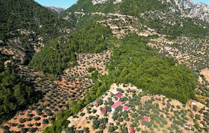 Muğla Akbük'te Satılık 2.951 m² Yatırımlık Arazi
