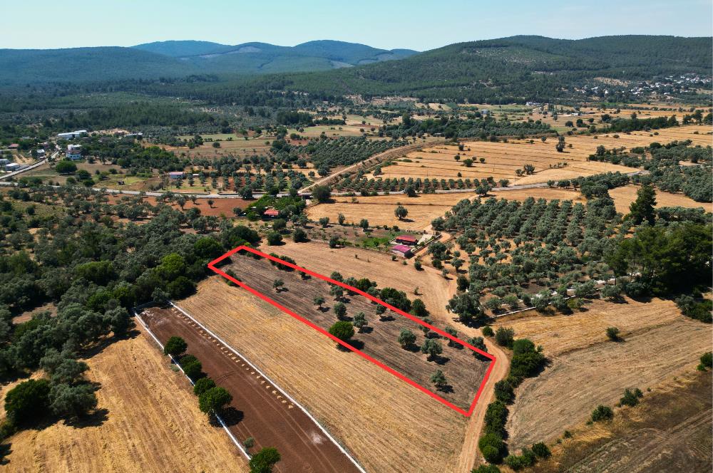 Muğla Bodrum Pınarlıbelen'de Satılık 4.539 m² Müstakil Arazi