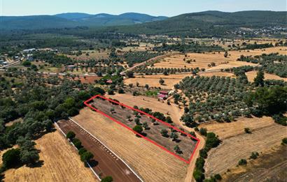 Muğla Bodrum Pınarlıbelen'de Satılık 4.539 m² Müstakil Arazi
