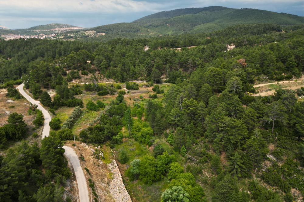 Muğla Kavaklıdere'de Satılık 3.214 m² Arazi