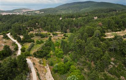 Muğla Kavaklıdere'de Satılık 3.214 m² Arazi