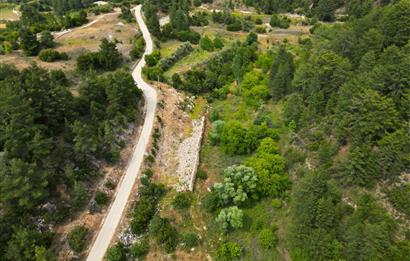 Muğla Kavaklıdere'de Satılık 3.214 m² Arazi