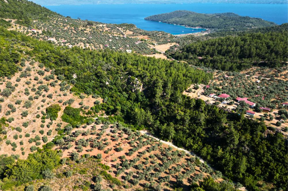 Muğla Akbük'te Satılık 2.951 m² Yatırımlık Arazi