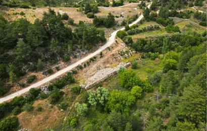 Muğla Kavaklıdere'de Satılık 3.214 m² Arazi