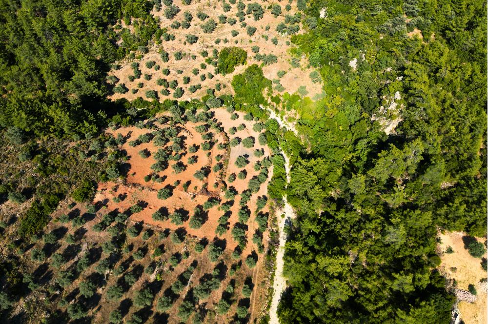 Muğla Akbük'te Satılık 2.951 m² Yatırımlık Arazi