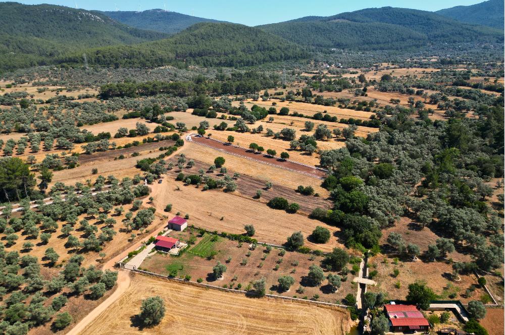 Muğla Bodrum Pınarlıbelen'de Satılık 4.539 m² Müstakil Arazi