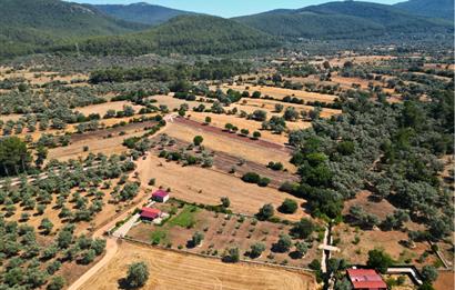 Muğla Bodrum Pınarlıbelen'de Satılık 4.539 m² Müstakil Arazi