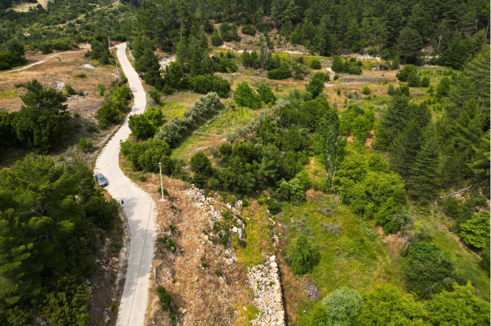 Muğla Kavaklıdere'de Satılık 3.214 m² Arazi