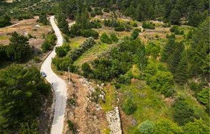 Muğla Kavaklıdere'de Satılık 3.214 m² Arazi