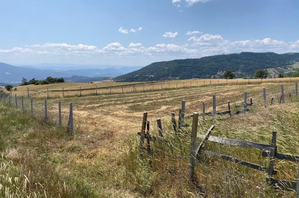 SAKARYA GEYVE’DE MÜSTAKİL TAPULU SATILIK TARLA 