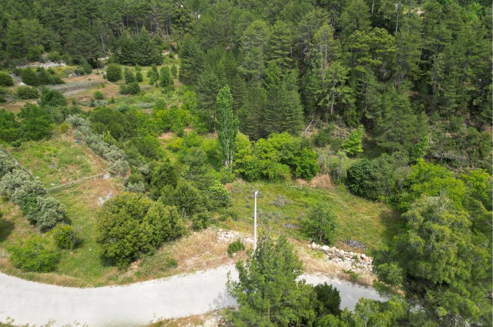 Muğla Kavaklıdere'de Satılık 3.214 m² Arazi
