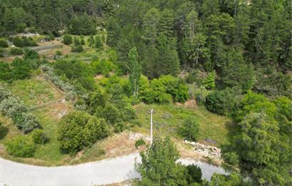 Muğla Kavaklıdere'de Satılık 3.214 m² Arazi