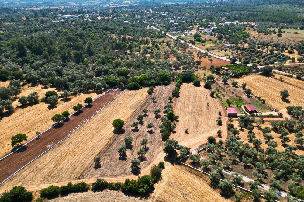 Muğla Bodrum Pınarlıbelen'de Satılık 4.539 m² Müstakil Arazi