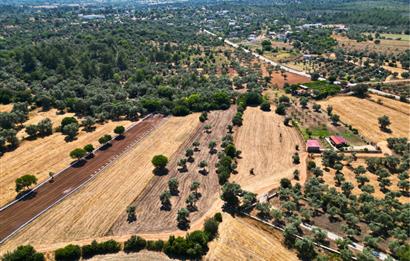 Muğla Bodrum Pınarlıbelen'de Satılık 4.539 m² Müstakil Arazi