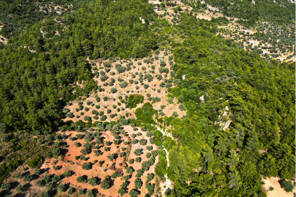 Muğla Akbük'te Satılık 2.951 m² Yatırımlık Arazi