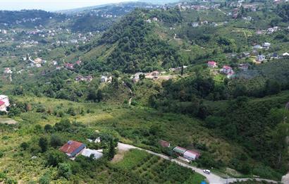 C21 UZMAN'DAN BENGİSUDA 21 DÖNÜM MUHTEŞEM KONUM'DA SATILIK ARSA