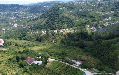 C21 UZMAN'DAN BENGİSUDA 21 DÖNÜM MUHTEŞEM KONUM'DA SATILIK ARSA