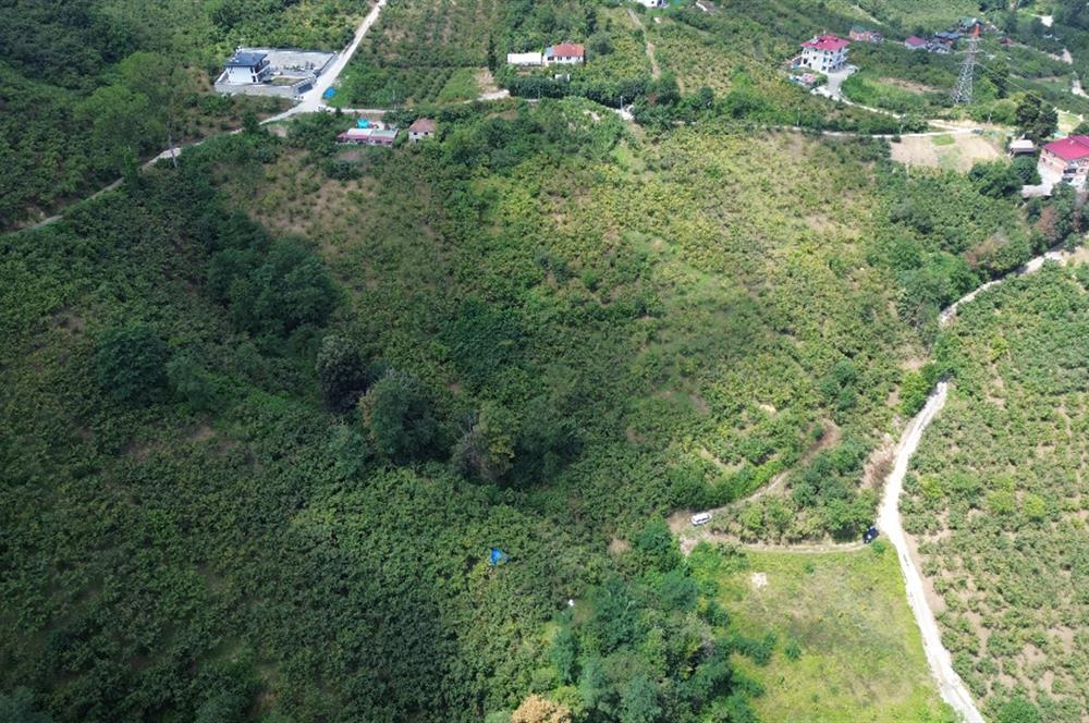 C21 UZMAN'DAN BENGİSUDA 21 DÖNÜM MUHTEŞEM KONUM'DA SATILIK ARSA