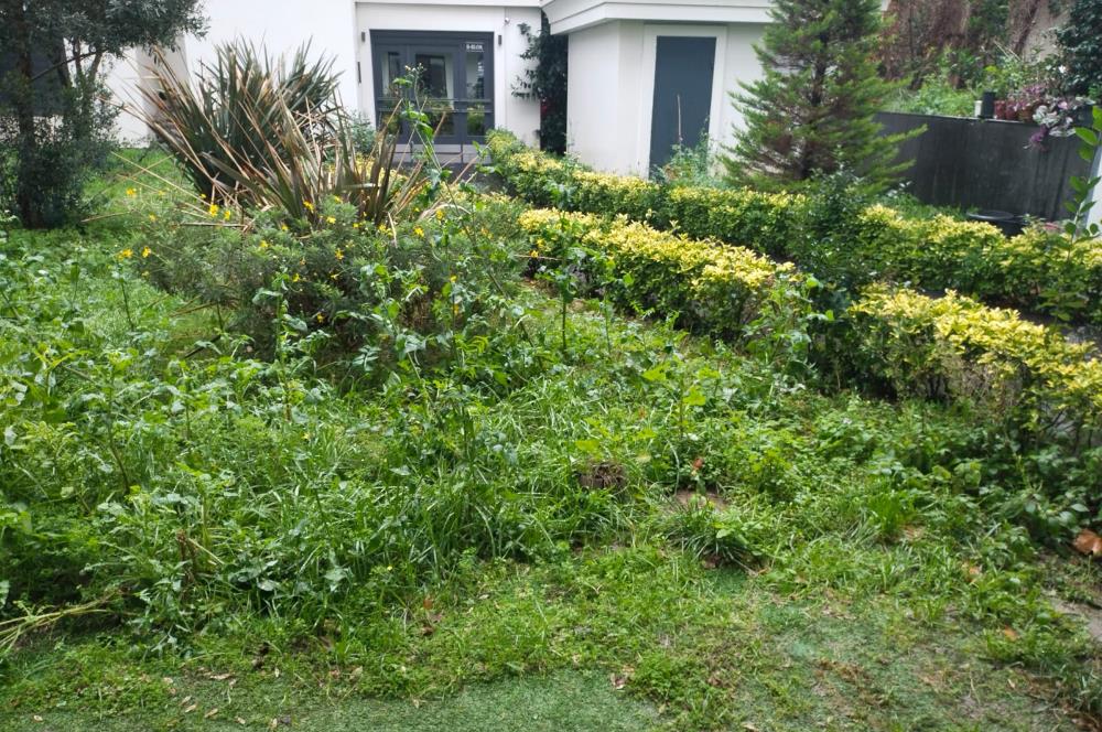 Kazım Özalp Sokakta Kiralık Bahçe katı 2+1 Daire