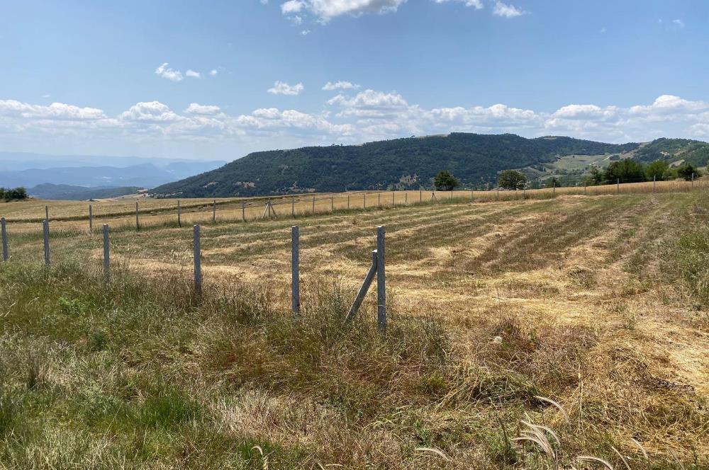 SAKARYA GEYVE’DE MÜSTAKİL TAPULU SATILIK TARLA 