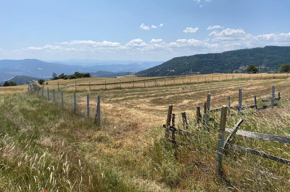 SAKARYA GEYVE’DE MÜSTAKİL TAPULU SATILIK TARLA 
