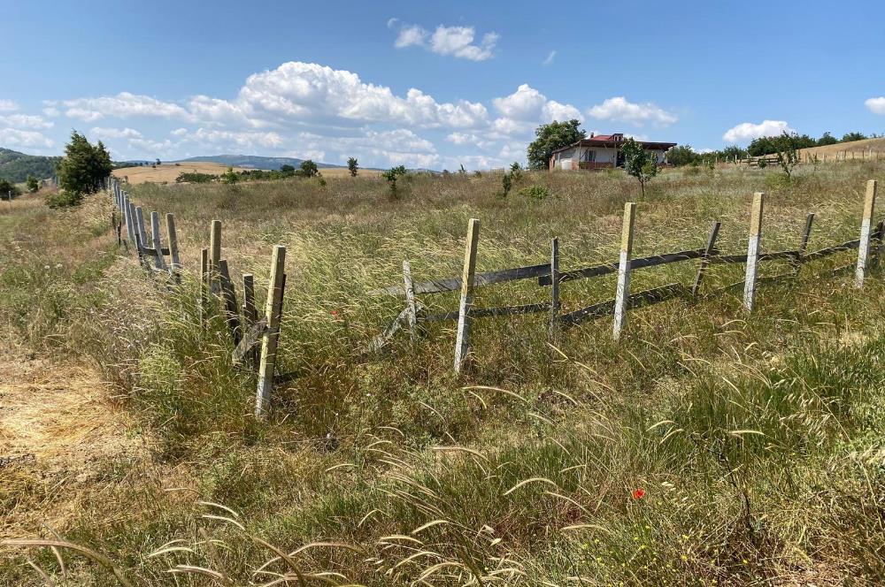 SAKARYA GEYVE’DE MÜSTAKİL TAPULU SATILIK TARLA 