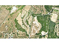 Urla Naipli'de Satılık Zeytinli Tarla