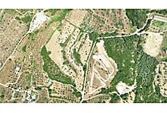 Urla Naipli'de Satılık Zeytinli Tarla - 1 - 36943