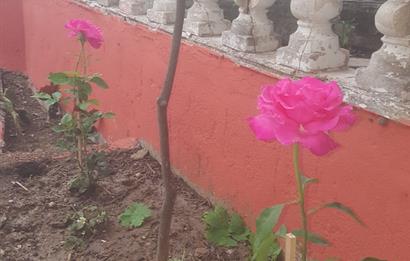 YALOVA ÇINARÇIK ESNKÖY KANARYA MEVKİNDE HARİKA TERS DUBLEX DAİRE