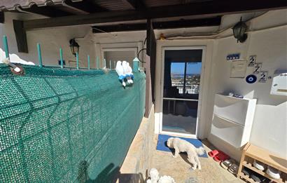 Bodrum Gümüşlük Koyu Manzaralı Satılık İkiz Villa