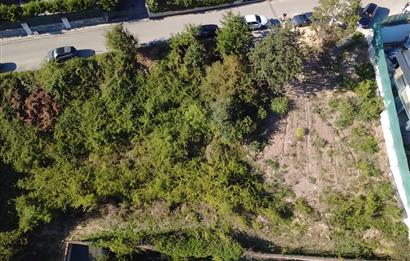 Sarıyer Uskumruköy'de Satılık 1132 m2 İmarlı Arsa