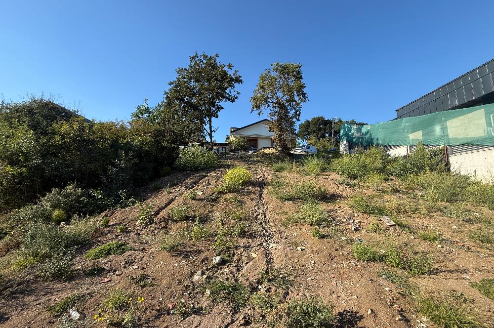 Sarıyer Uskumruköy'de Satılık 1132 m2 İmarlı Arsa